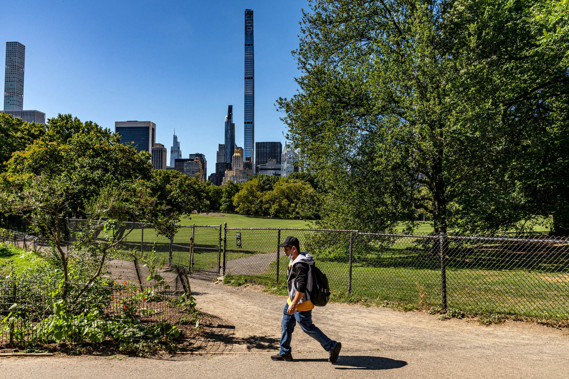 Manhattan_location_Falke_NYC_1874.JPG